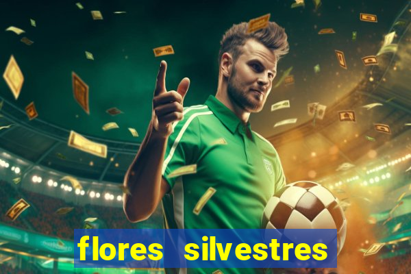 flores silvestres desbravadores desbravadores 25